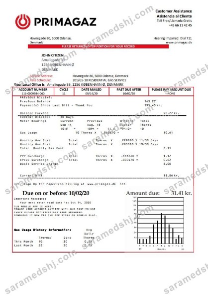 Denmark Primagaz Denmark gas utility bill template in Word and PDF format